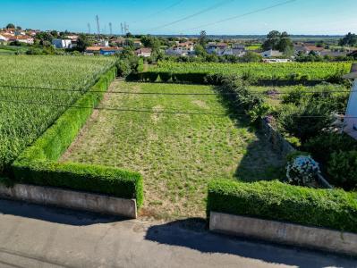 Estarreja, Aveiro 3865-201, Portugal