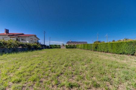 Estarreja, Aveiro 3865-201, Portugal