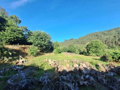 Arouca, Aveiro 4540, Portugal