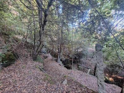 Arouca, Aveiro 4540, Portugal