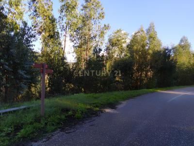 Ferreira do Zêzere, Santarém 2240-204, Portugal