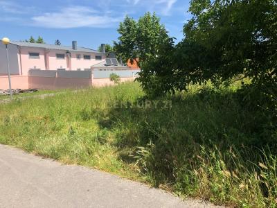 Lousã, Coimbra 3200-001, Portugal