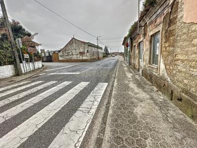 Oliveira Do Bairro, 阿威罗 3770-031, 葡萄牙