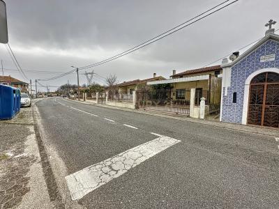 Oliveira Do Bairro, 阿威罗 3770-031, 葡萄牙
