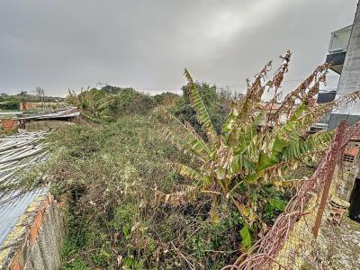 Oliveira Do Bairro, 阿威罗 3770-031, 葡萄牙