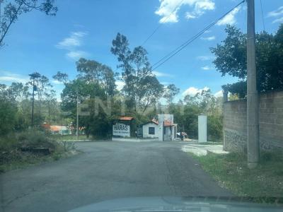 Terreno en venta de 1000 m2 Cruz de Sabinos Ciudad Ecológica,, Amozoc, פואבלה 72998, מקסיקו 
