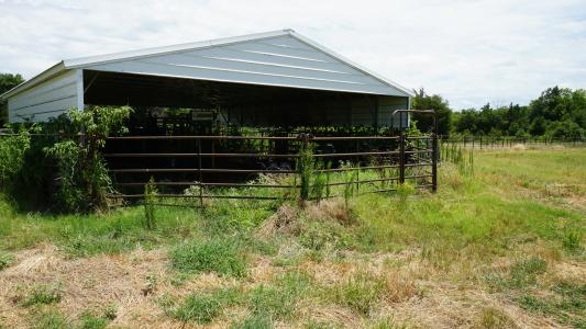 TBD CR 1150, 1135, Ravenna, Texas 75476, USA