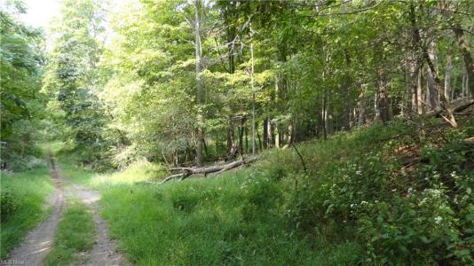 Bryden Rd - Lots 29,30 & 31, Weirton, West Virginia 26062, USA