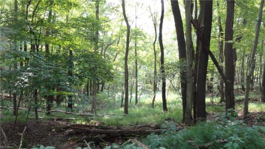 Bryden Rd - Lots 29,30 & 31, Weirton, Западная Вирджиния 26062, Соединенные Штаты