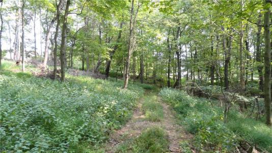 Bryden Rd - Lots 29,30 & 31, Weirton, Западная Вирджиния 26062, Соединенные Штаты