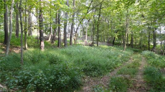 Bryden Rd - Lots 29,30 & 31, Weirton, Западная Вирджиния 26062, Соединенные Штаты