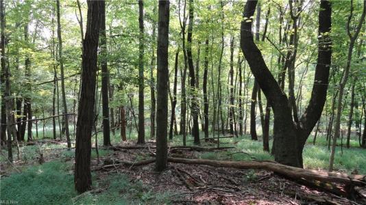Bryden Rd - Lots 29,30 & 31, Weirton, Западная Вирджиния 26062, Соединенные Штаты