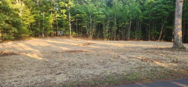 Lot 58 Buccaneer Road, Moneta, فرجينيا 24121, الولايات المتحدة