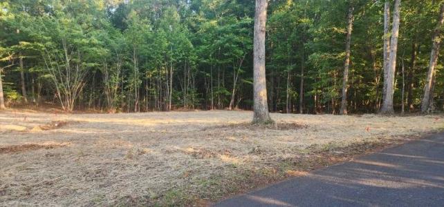 Lot 58 Buccaneer Road, Moneta, فرجينيا 24121, الولايات المتحدة