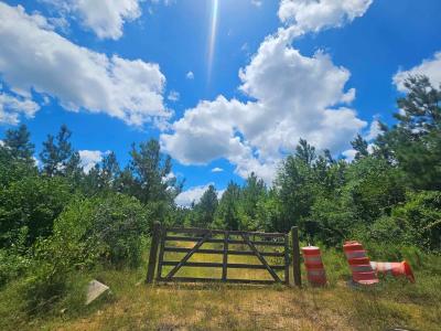 1455 Neal Road, Huntington, Texas 75949, USA