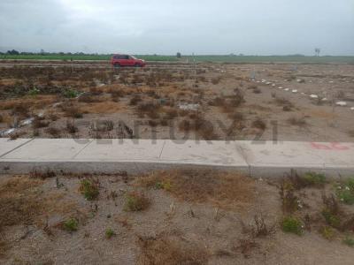 Anexo Catas , Islay, Arequipa 00001, Peru