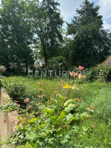 Düren, Nordrhein-Westfalen 52355, Germany