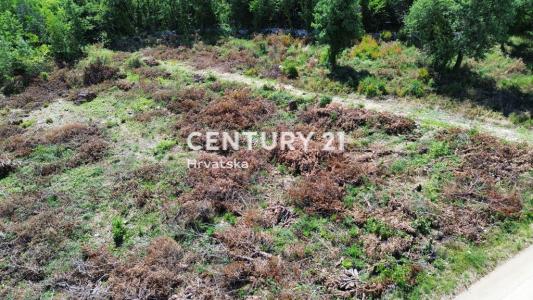 Sveti Lovreč, Sveti Lovreč, Istarska Županija 52448, Croatia