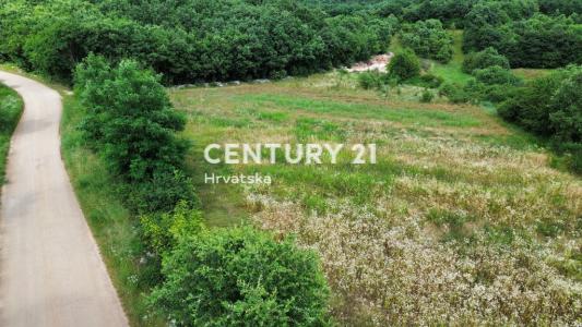 Sveti Lovreč, Sveti Lovreč, Istarska Županija 52448, Croatia