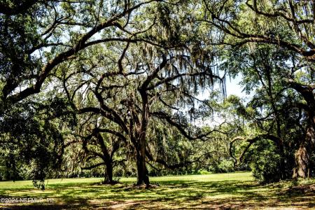 0 BLANCHETTE Avenue, Palatka, Flórida 32177, Estados Unidos