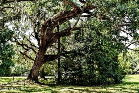 0 BLANCHETTE Avenue, Palatka, Flórida 32177, Estados Unidos