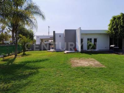 Del pedregal pte. ,, Celaya, Guanajuato 38010, Mexique