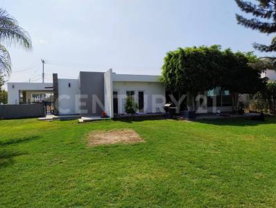 Del pedregal pte. ,, Celaya, Guanajuato 38010, Mexique