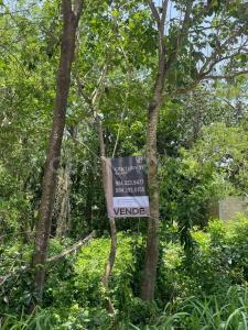 calle Nicte - Ha lote 8,, Solidaridad / Riviera Maya, Quintana Roo 77712, Mexico