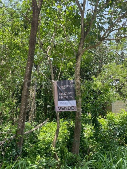 calle Nicte - Ha lote 8,, Solidaridad / Riviera Maya, 金塔纳罗奥 77712, 墨西哥