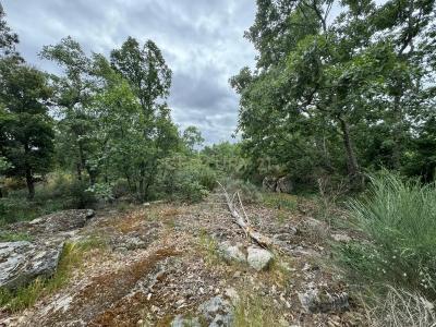 Penamacor, Castelo Branco 6090-000, Portugal