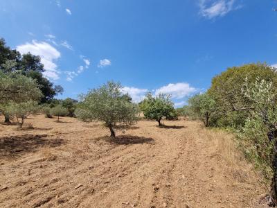 Fundão, Castelo Branco 6230-787, Portugal