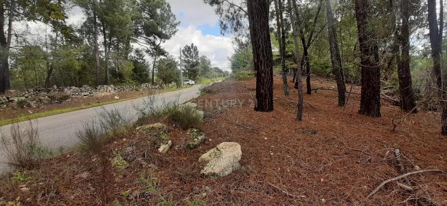 Penamacor, Castelo Branco 6090, Portugal