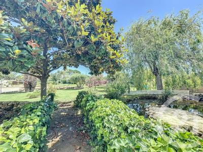 Bessan, Languedoc-Roussillon 34550, Francia