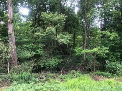 129 Ridgecrest Dr, South Buffalo Twp, Pennsylvania 16229, USA