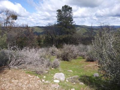 Snowberry Ct., Murphys, California 95247, USA