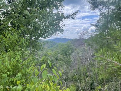 River Birch Way, Sevierville, Tennessee 37862, USA