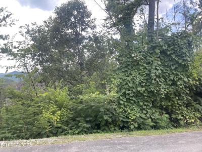 River Birch Way, Sevierville, Tennessee 37862, Estados Unidos