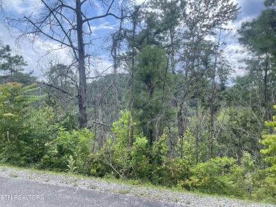 River Birch Way, Sevierville, Tennessee 37862, Estados Unidos