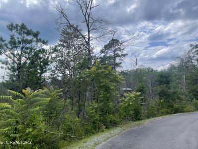 River Birch Way, Sevierville, Tennessee 37862, Estados Unidos