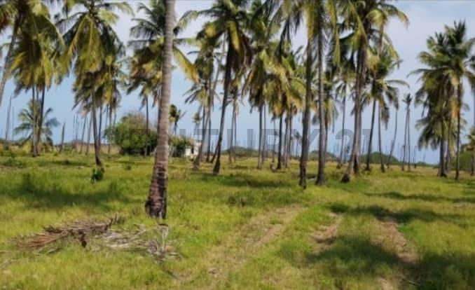 Tucacas, Falcón 00001, 委內瑞拉