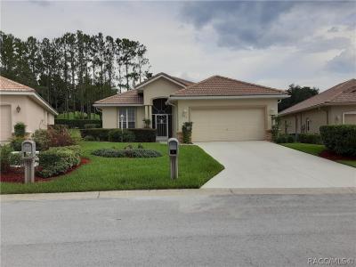 856 W Silver Meadow Loop, Hernando, Florida 34442
