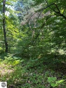 211 Logging Trail, Leroy, Michigan 49655, USA