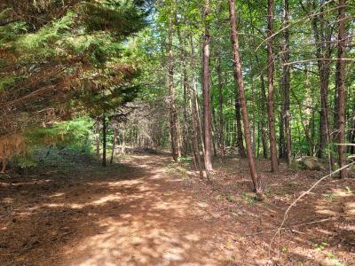 McOwenben Pass #19, Lake Lure, 北卡罗来纳州 28746, 美国