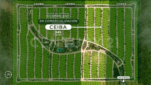 MANZANA 26 LOTE 1-05,, Puerto Morelos, Quintana Roo 77580, Mexico