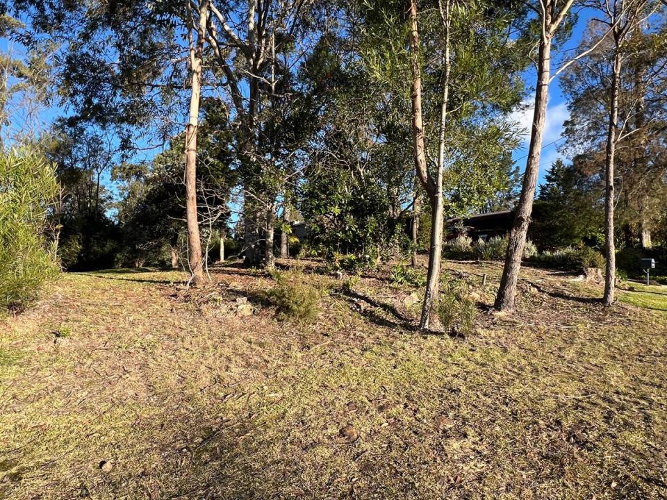 Hazelbrook, NSW 2779, Australia
