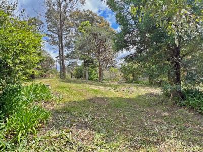Hazelbrook, NSW 2779, Australia
