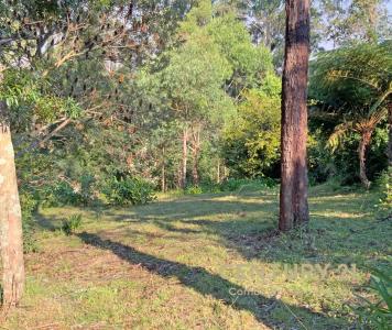 Hazelbrook, NSW 2779, Australia