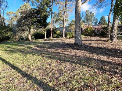 Hazelbrook, NSW 2779, Australia
