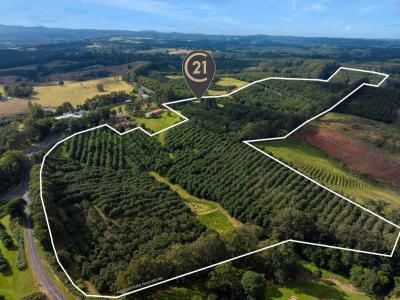 1248 Dunoon Road, Dunoon, NSW 2480, 澳大利亚