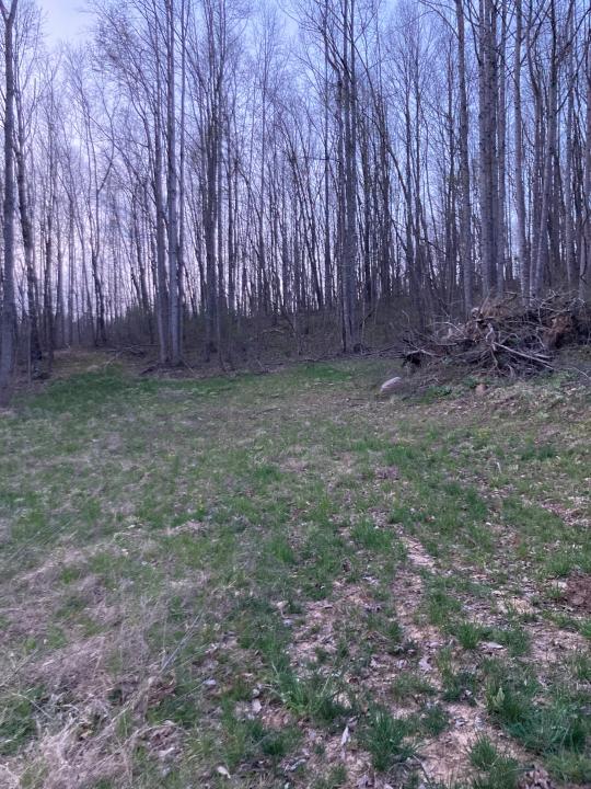 O Braxton Dr, Buchanan, Virginia 24066, USA